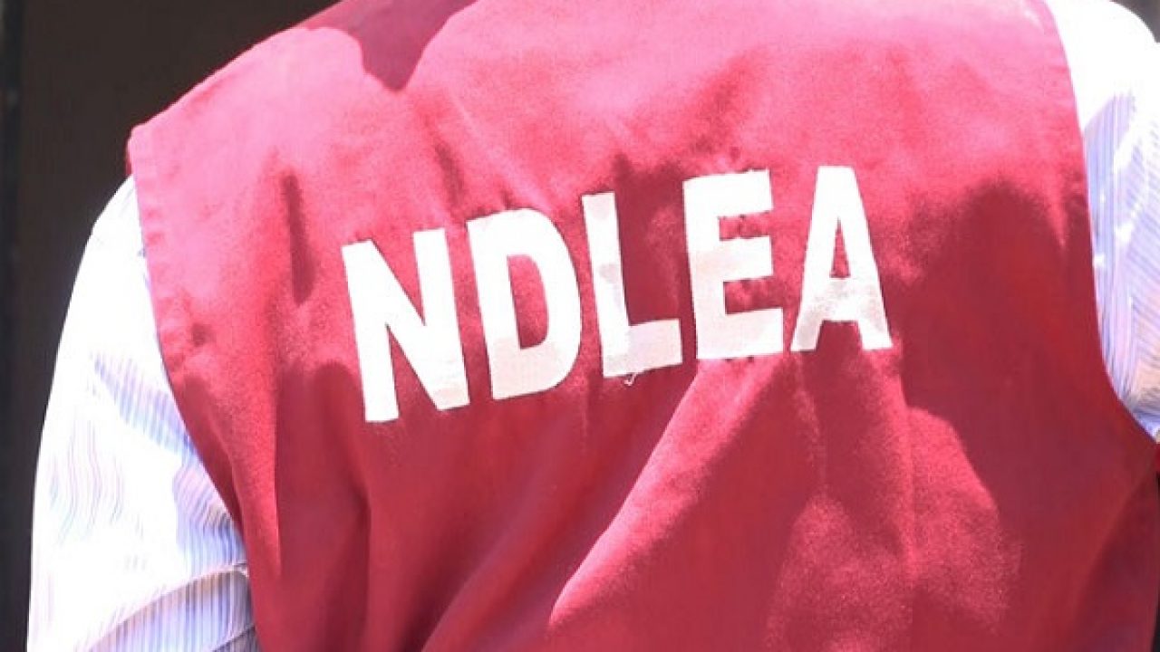 NDLEA intercepts 3 trailer loads of opioids, seizes 3.5m pills, 344,000 codeine bottles