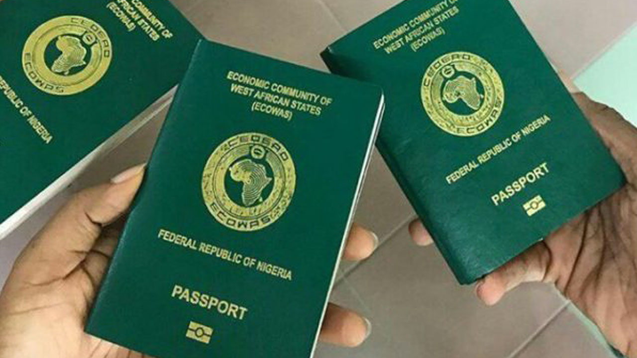 Nigerian Govt expresses readiness to partner India on eradication of fake passports