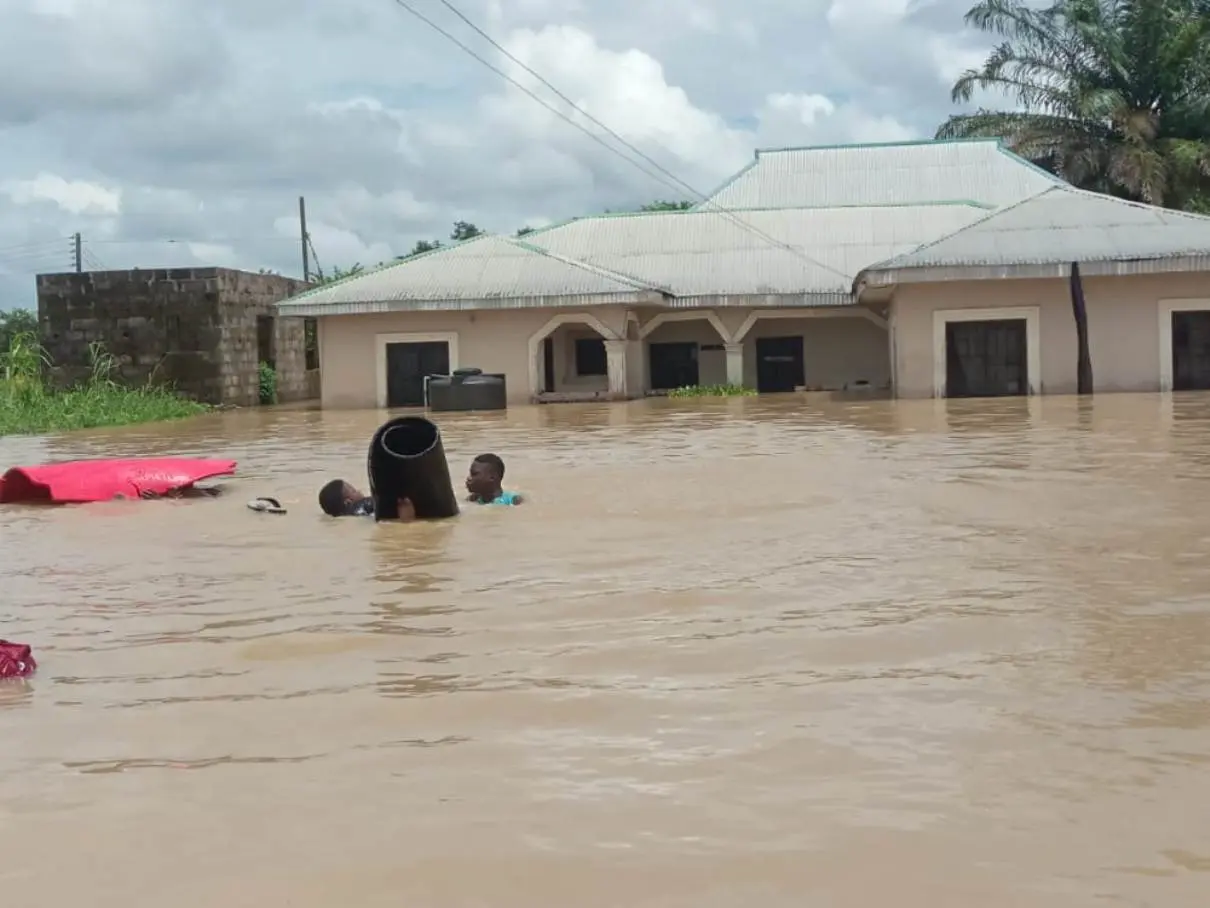 Flood kills 10, displaces others in Adamawa