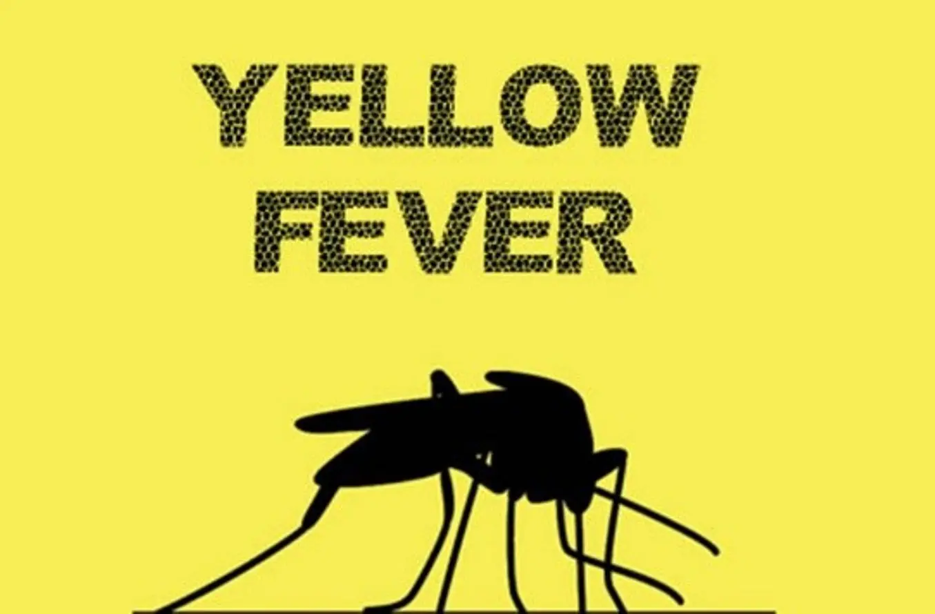 NCDC records 1,601 suspected cases of yellow fever