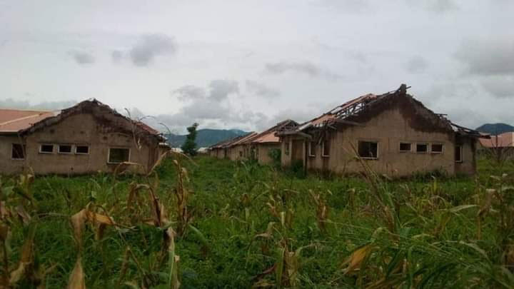 Reptiles, weeds take over Taraba school of nursing, midwifery