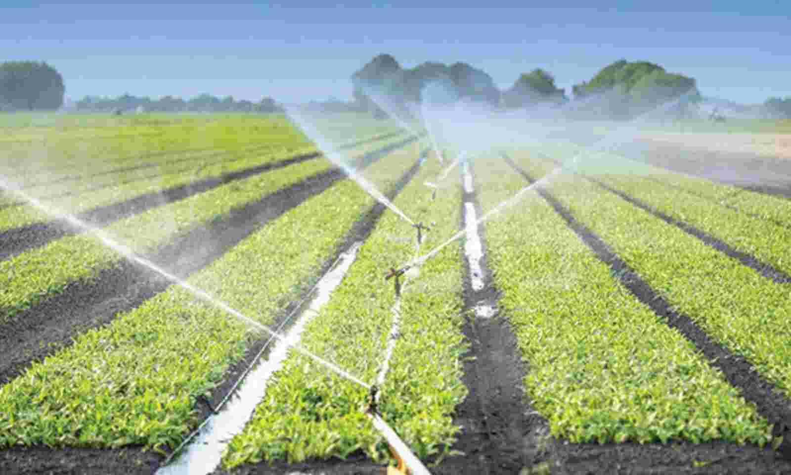 Nigerian Govt hands over 228 hectares Gari Irrigation project to Jigawa, Kano farmers