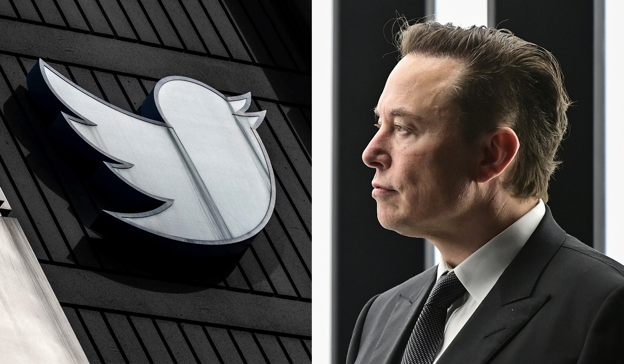Twitter to permanently suspend account impersonators - Elon Musk