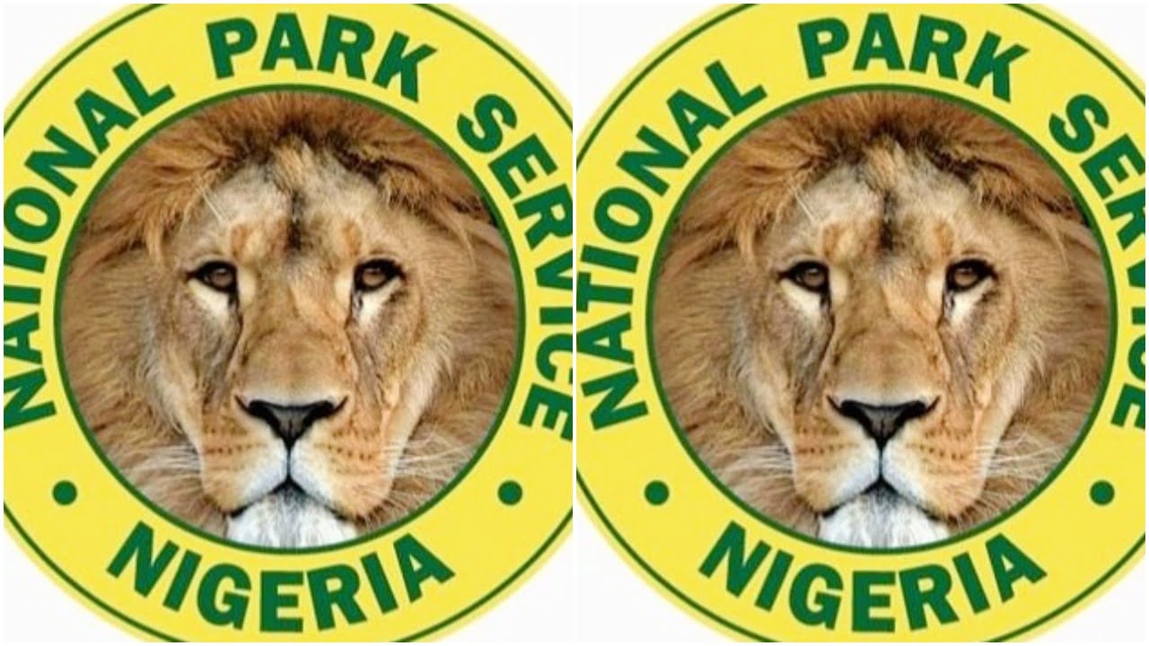 NPS urges media to reportage its mandates