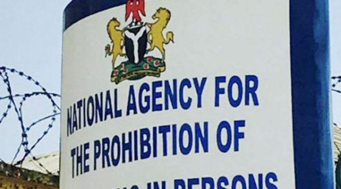 As Nigeria joins the rest of the world in marking 16 Days of Activism against Gender-Based Violence, (SGBV), the National Agency for the Prohibition of Trafficking, (NAPTIP),