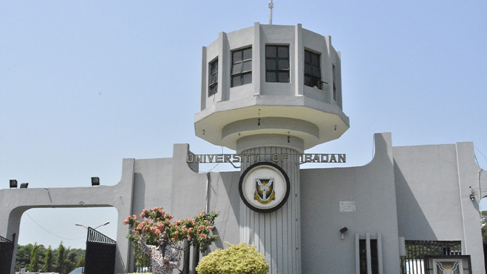 University of Ibadan to admit students for virtual undergraduate studies