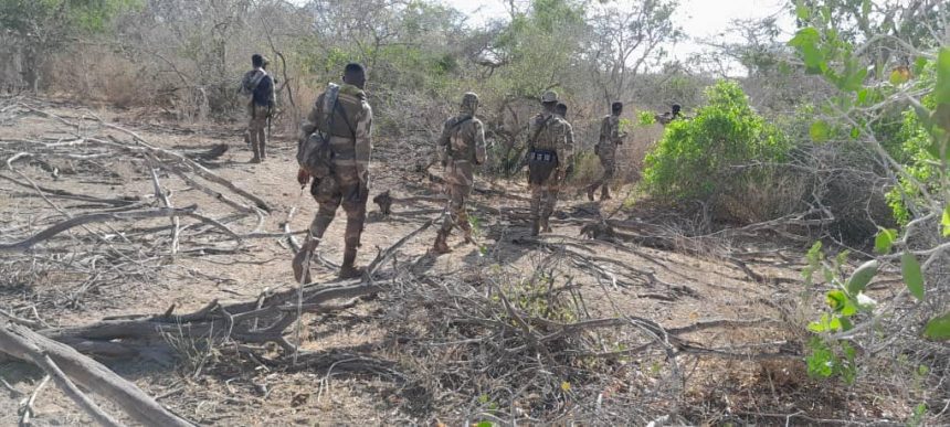 Somali army kills five al-Shabaab militants in southern region