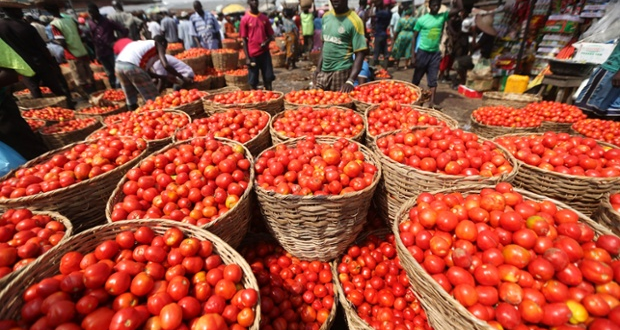 Businessman bags six months jail term for cheating tomato seller