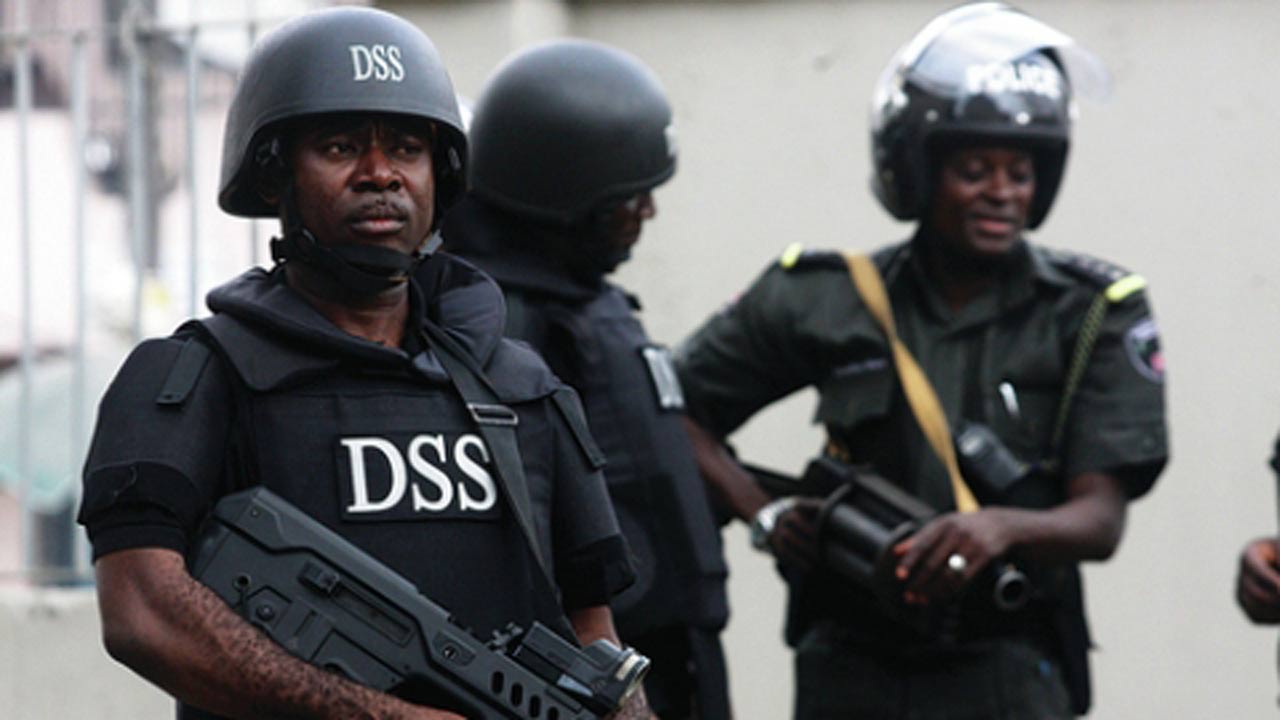 DSS uncovers plans by politicians to stage anti-government protests