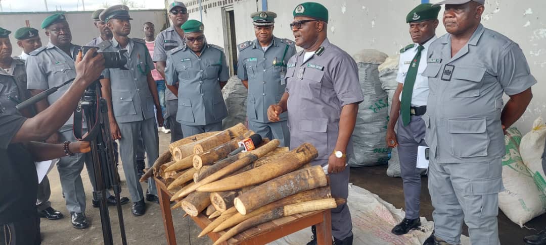 Nigeria Customs intercepts N680m elephant tusks, others