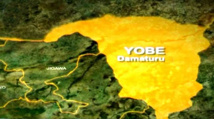 UNDP commends Yobe State on post-insurgency recovery