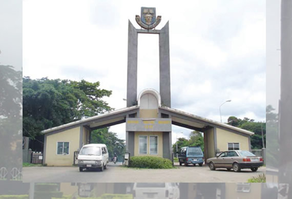 Probe begins as OAU lecturer reportedly punches student