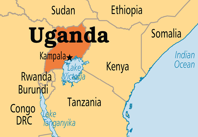 Uganda captures militia chief accused of murder