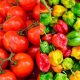 I earn N7m annually from growing tomatoes, pepper — Gombe farmer